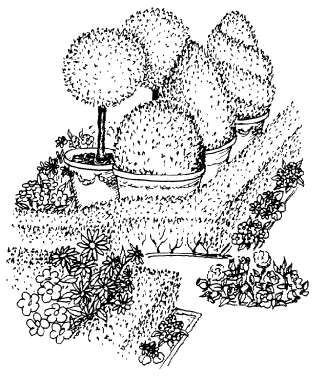 Bauerngarten
