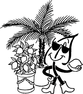 Palmen