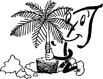 Palmen
