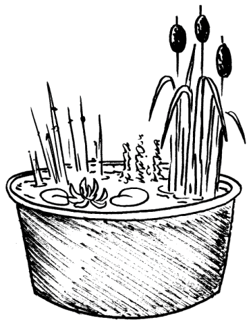 Miniwassergärten