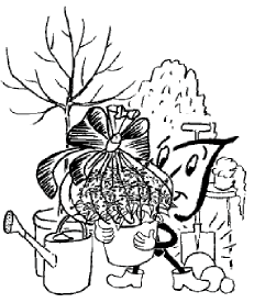 Wunschbeet